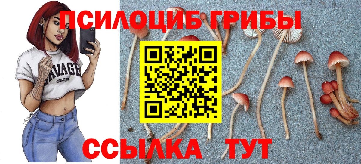 закладка  Вход с VPN  Иркутск  Псилоцибиновые грибы Magic Shrooms 